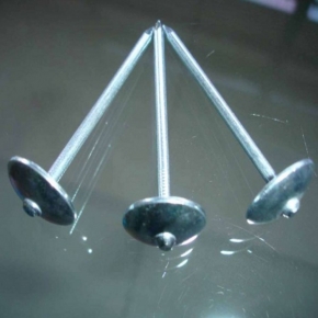 Umbrella roofing nail