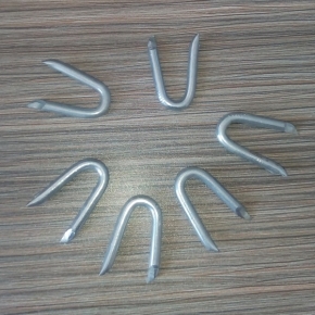 U Type nail