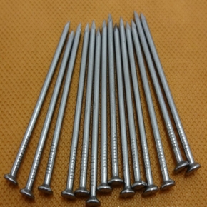 Common nail