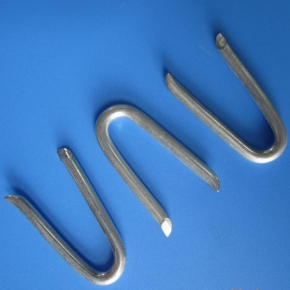 U Type nail