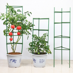 Plant support.Tomato stand,Climbing support